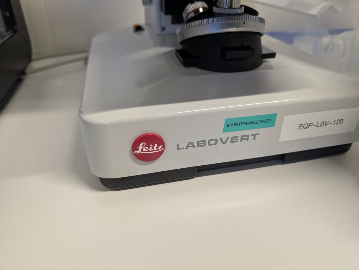 Leitz Labovert mikroskooppi, lamppu palanut, huone 139