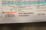 VALAISINMUOTTEJA, SUUNNITTELU PIIRUSTUKSIA ym. (FO910)